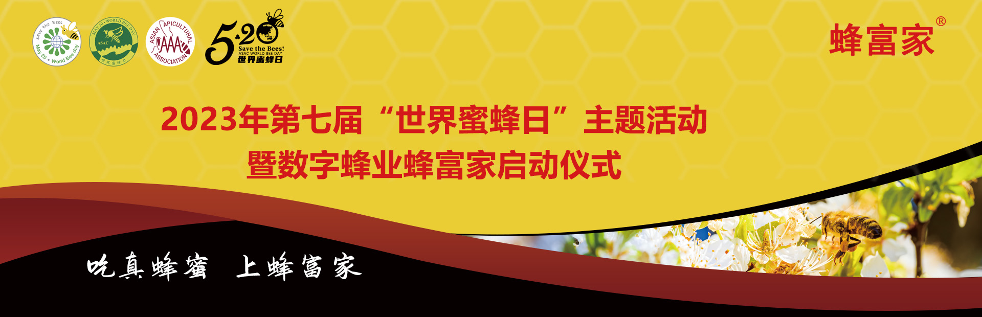活动