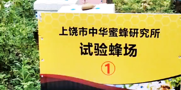 上饶市中华蜜蜂研究所