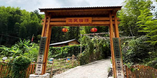 逸民蜂情·蜂富家智慧蜂场